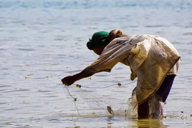 Scène de pêche traditionnelle