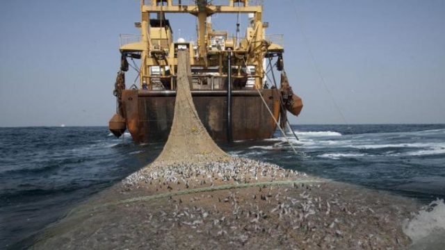 La pêche industrielle à Madagascar