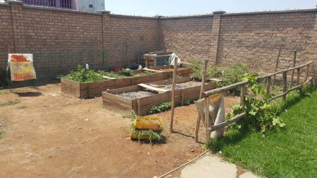 Le potager de l'école associative L'île aux enfants