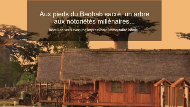 Relais Kirindy Morondava, près du Kirindy et du Baobab sucré à Morondava