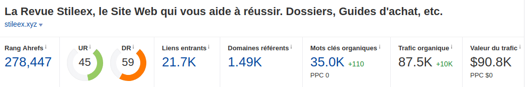 Print screen du score du site stileex.xyz