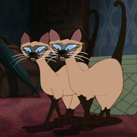Pas facile de différencier des jumeaux!