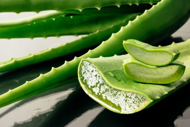 Le gel d'aloe vera est un activateur de boucles très efficace