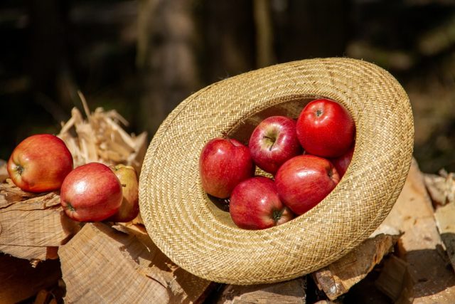 À Madagascar, la saison des pommes, c'est entre janvier et mars