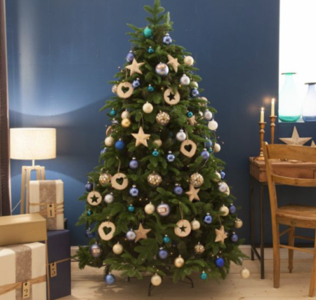 Un Noël sans sapin est-il encore un vrai Noël ?