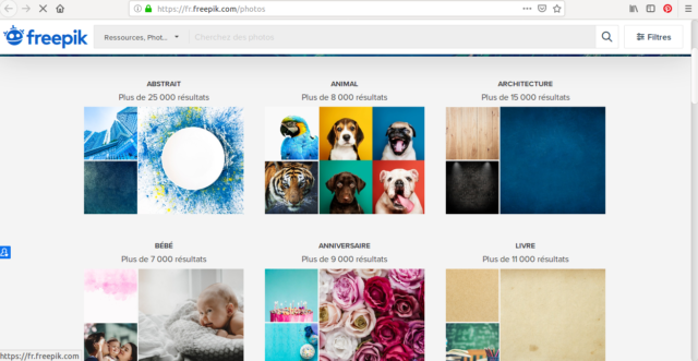 Pour chaque catégorie d'images, Freepik dispose d'un catalogue très complet