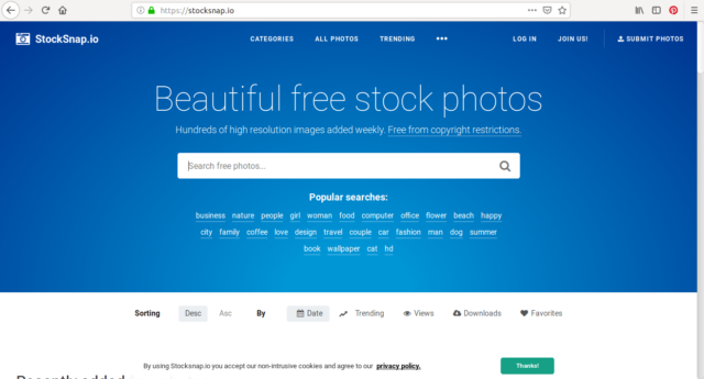 Sur Stocksnap, téléchargez des images de haute qualité (HD) gratuitement