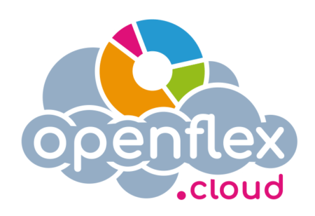 Openflex para la contabilidad empresarial