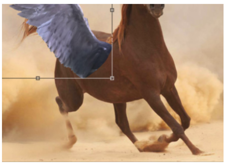 It will be necessary to deform the birth of the wing so that it follows the perspective of the side of the horse