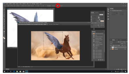 Photoshop’s "Free Transform" command (circled in red)