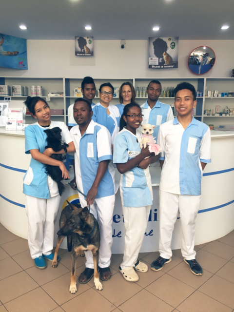 Chez Vet Clinic, on prend bien soin de nos compagnons à 4 pattes