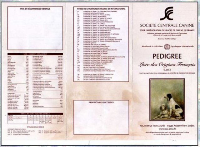 Le pedigree certifie qu'un chien est de race pure