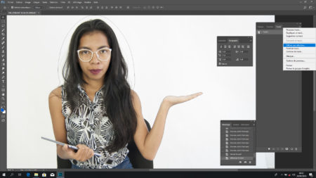 Create a new layer and convert the plot into a selection frame
