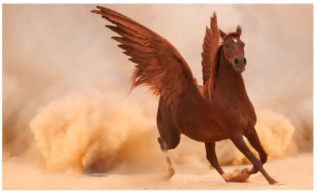 Photoshop Montage: here is the final result, we have a nice winged horse!