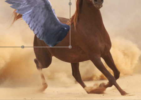 Il va falloir déformer la naissance de l’aile pour qu'elle suive la perspective du flanc du cheval