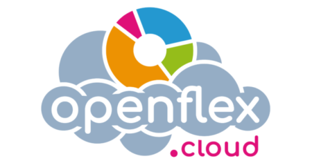Openflex: a Project Management software