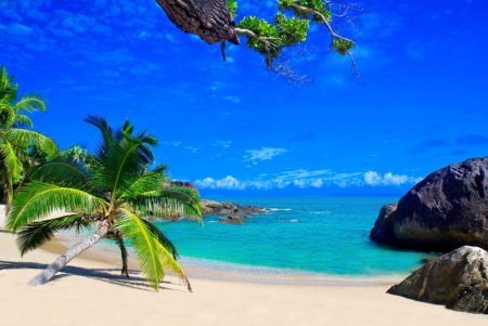 Un paradis sur terre