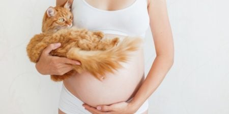 On peut garder son chat pendant la grossesse, c'est juste une question d'hygiène