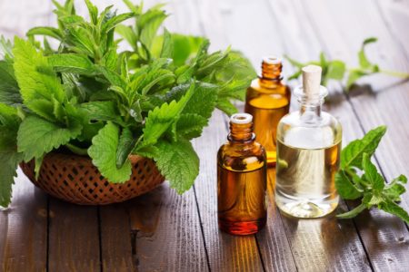 Les huiles essentielles à la menthe, il faut en avoir à portée de main