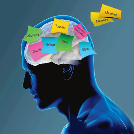 Le cerveau humain est compliqué à l'instar de cette illustration