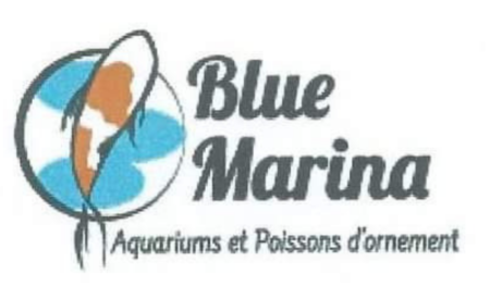 Le logo de « Blue Marina », une société parvenue à bout de tout un lot de complications