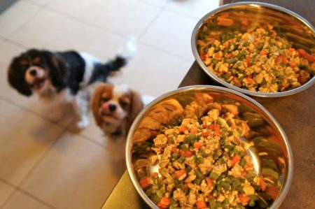 L’alimentation du chien peut se faire grâce à un bon dosage de repas fait maison