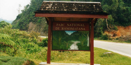 Ranomafana, le plus grand des parcs nationaux de Madagascar