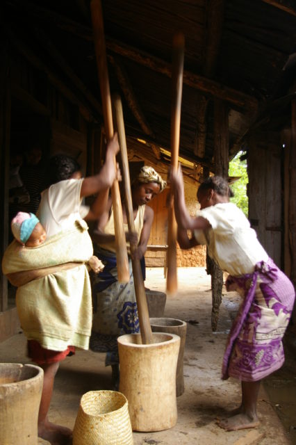 Traditionnellement, piler le riz est réservé aux femmes à Madagascar, c'est la dernière étape de la riziculture