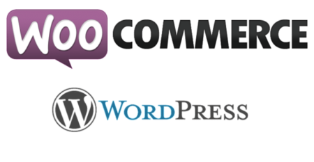 Make money on the Internet with Woocommerce for WordPress