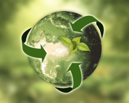 Le recyclage, une des activités que Greener réalise pour préserver l'île