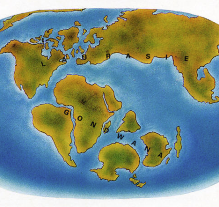 Peu à peu, les continents que nous connaissons aujourd'hui se sont dispersés