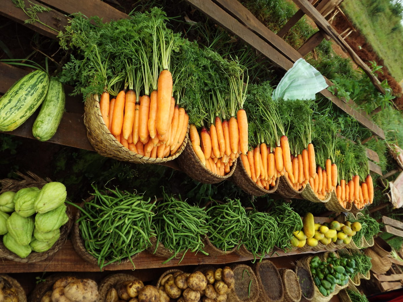 Consommation Des Fruits Et L gumes Madagascar R sultats De Sondage consommation-des-fruits-et-l-gumes-madagascar-r-sultats-de-sondage