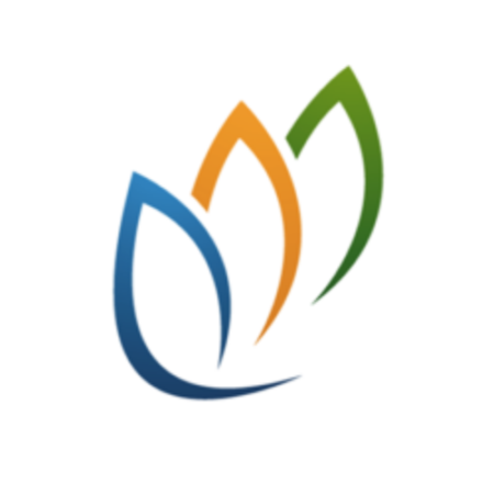 Smartelia Madagascar fait partie du groupe Virtuology international