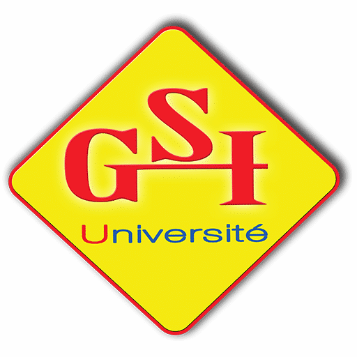 GSI Madagascar, formation supérieure et e-learning