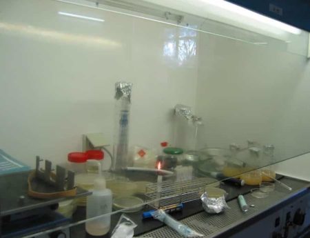 Laboratoire pour la recherche en biodiversité IMRA