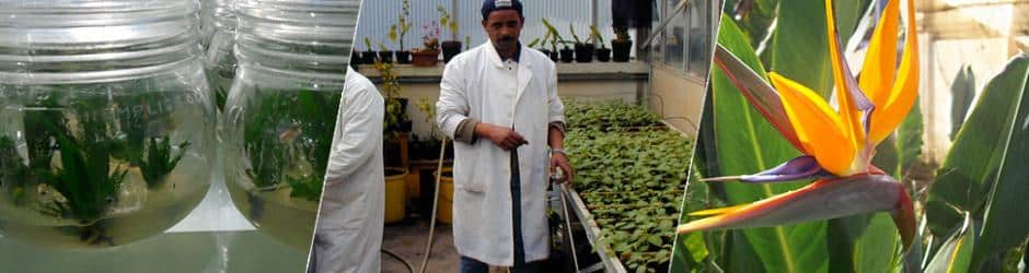 Biotechnologie et Agronomie à l'ISPM