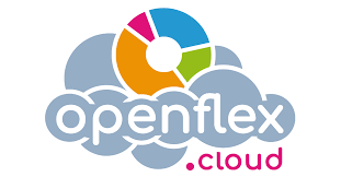 Samostatně výdělečně činný, pokud hledáte dobrý software pro správu, bude vám Openflex vyhovovat
