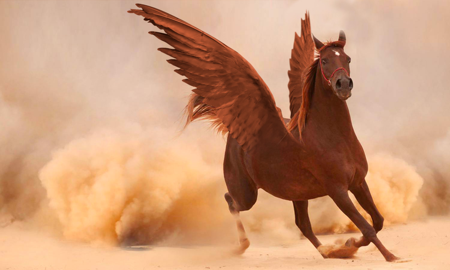 Edición en Photoshop: aquí está el resultado final, ¡tenemos un bonito caballo alado!