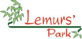 Logo Lemurs Park