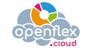 Auto-empreendedores, se você está procurando por um bom software de gestão, o Openflex vai lhe servir.