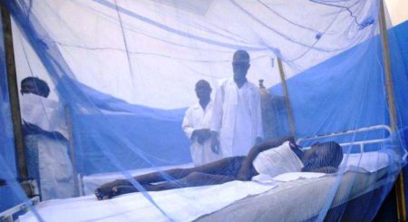 En los países del África meridional se están llevando a cabo campañas aceleradas de lucha contra los mosquitos y el paludismo