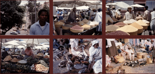 Selected pieces from the Photo Museum's impressive collection