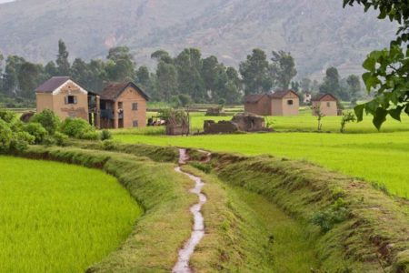 The majority of Tananarivians love to spend time in the countryside, but would they like to stay there?